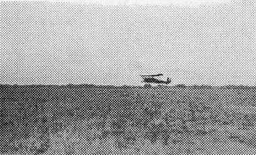 A grainy halftone print showing a distant training biplane flying low over the horizon at Brooks Field.