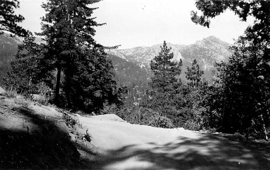 A dirt mountain road curving along a steep ridge in the Cuyamaca wilderness, with long pine tree shadows cast across the ground toward distant peaks.