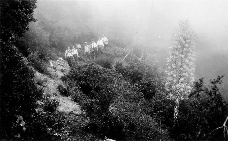 A group of five friends hiking down a steep, narrow dirt trail shrouded in heavy fog, with a tall, blooming yucca plant in the foreground.