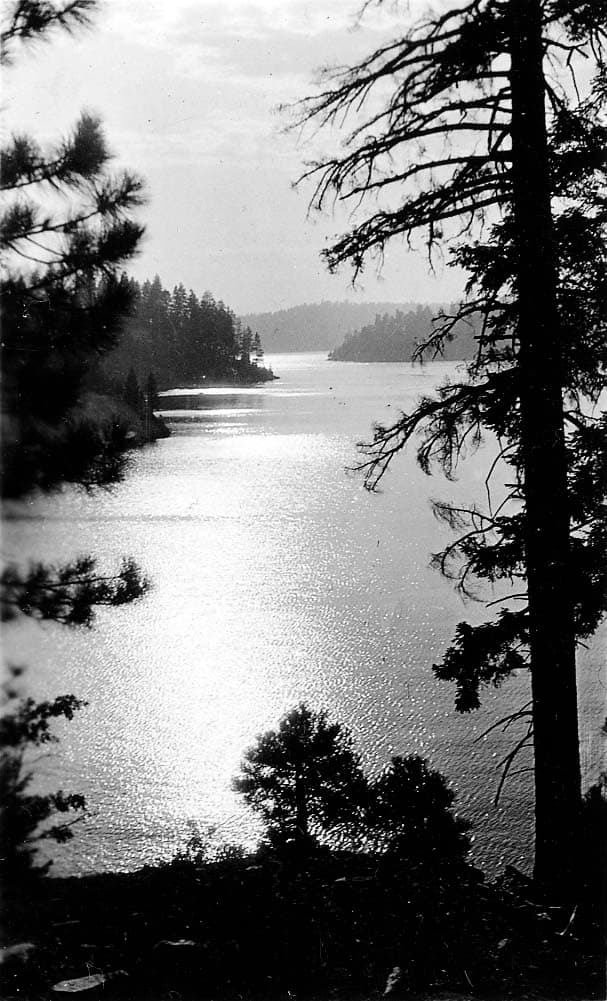 Sunlight glinting off the rippling open waters of a mountain lake, framed by the dark silhouettes of tall pine trees along the shoreline.