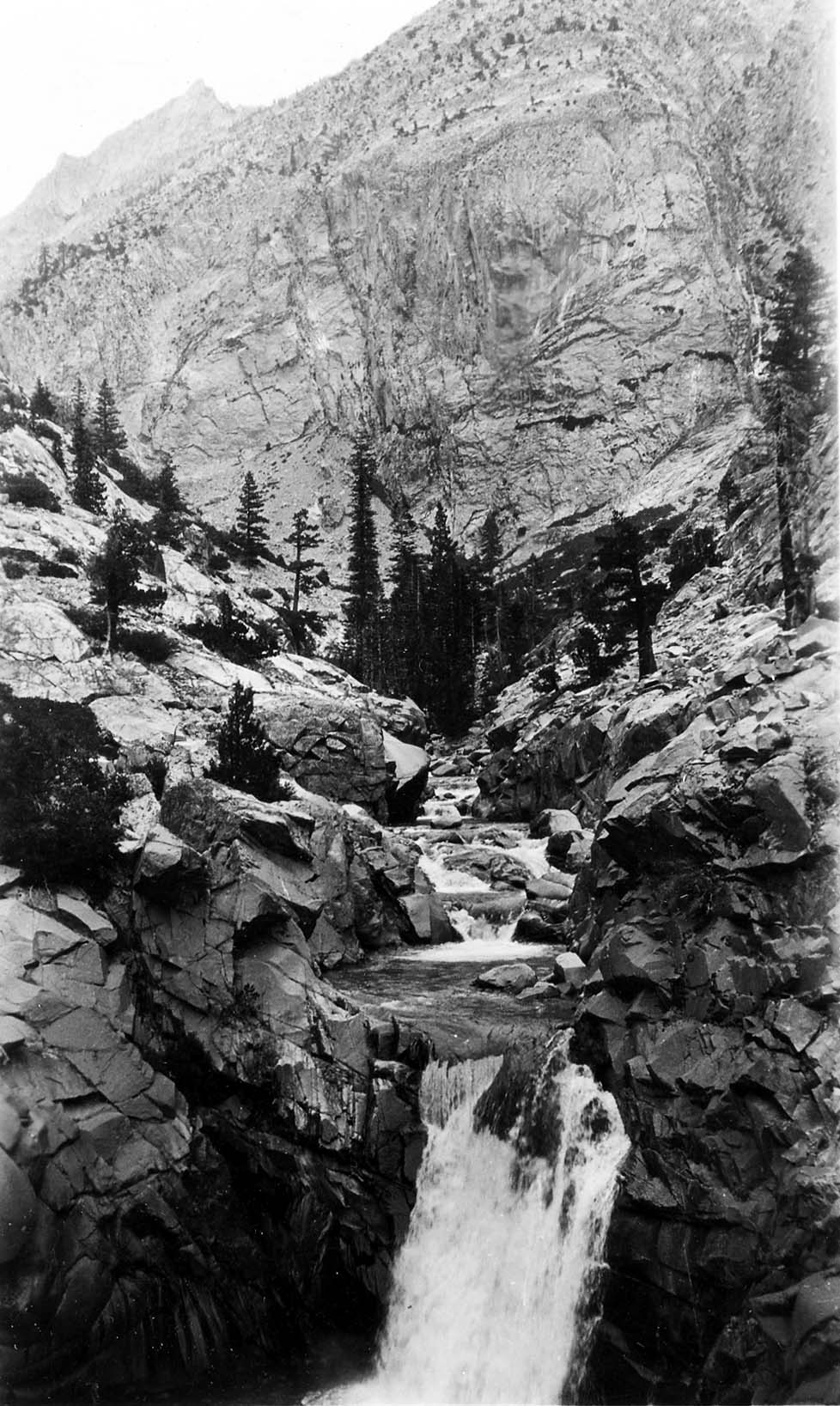 A mountain river cascading through a steep, rocky granite amphitheater and gorge lined with weathered high-elevation pines.