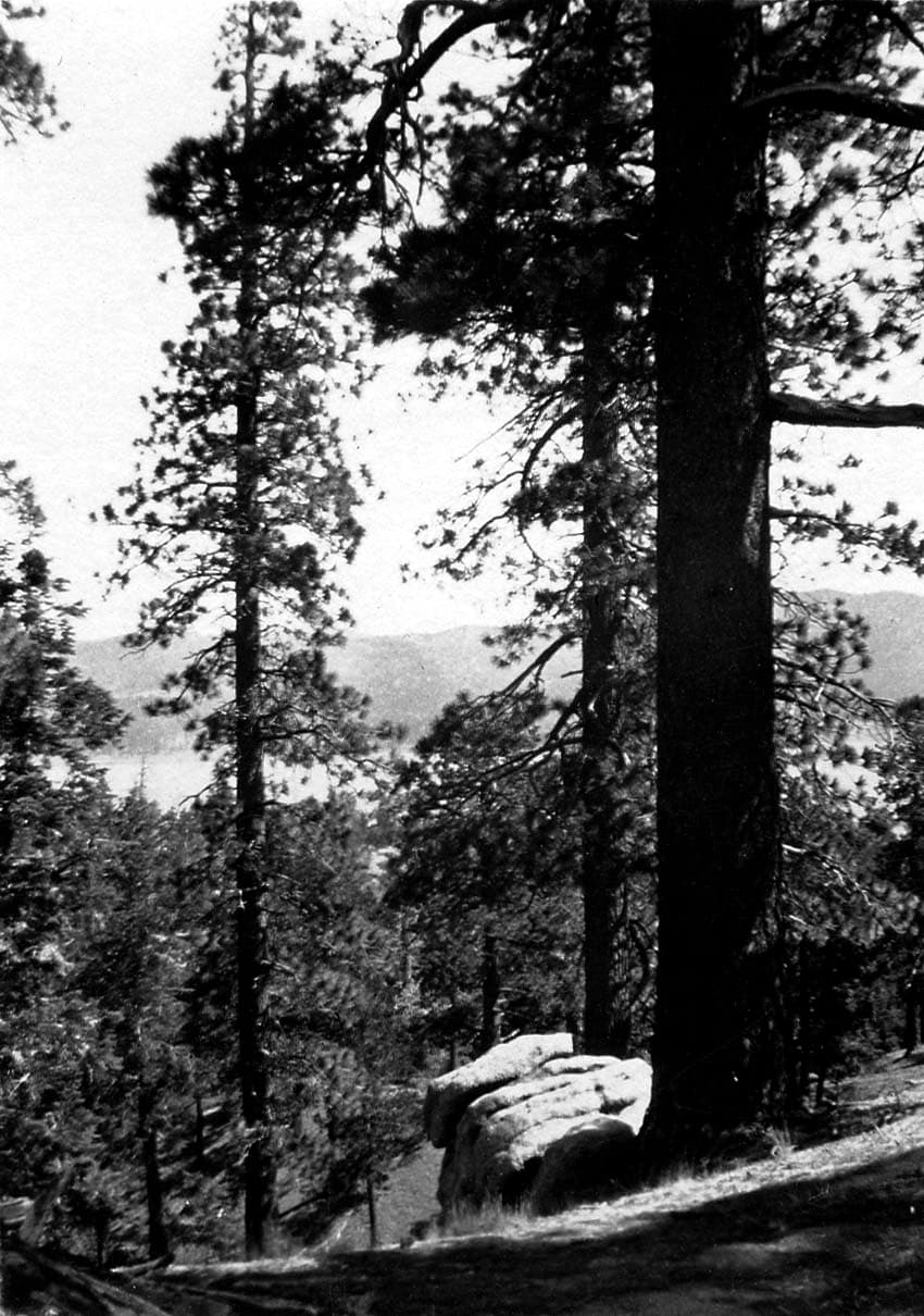 Tall pine trees framing a scenic rocky outcrop and a distant glimpse of a mountain lake below.
