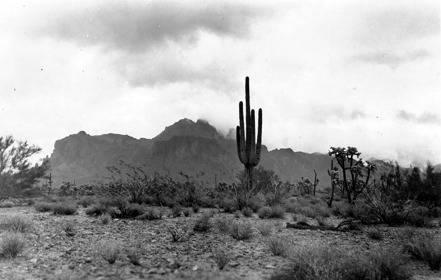 A solitary, tall saguaro cactus stands in an open desert scrubland beneath dramatic, cloud-filled skies and distant mountain peaks.