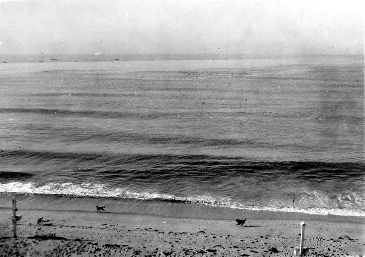 An elevated view from a coastal bluff looking down at parallel ocean swells and two dogs running along the sandy shoreline.