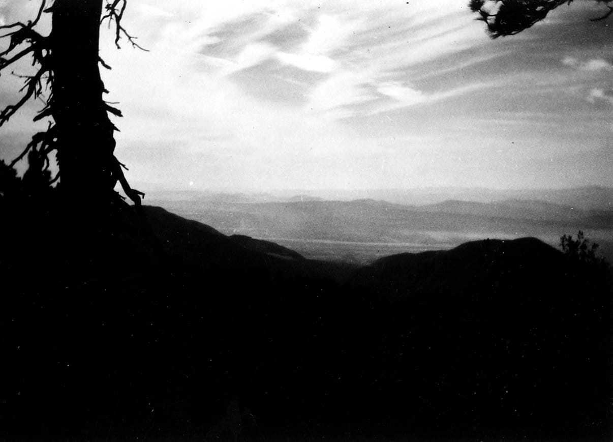 The stark silhouette of a gnarled pine tree trunk overlooking layered mountain ridges beneath a bright, clouded sky.