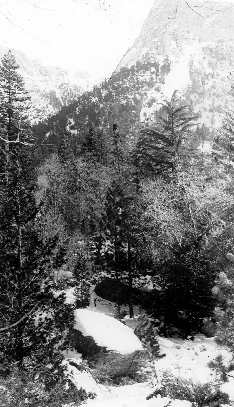 A deep, snow-covered mountain ravine filled with pine trees, backed by a massive, sheer granite peak.
