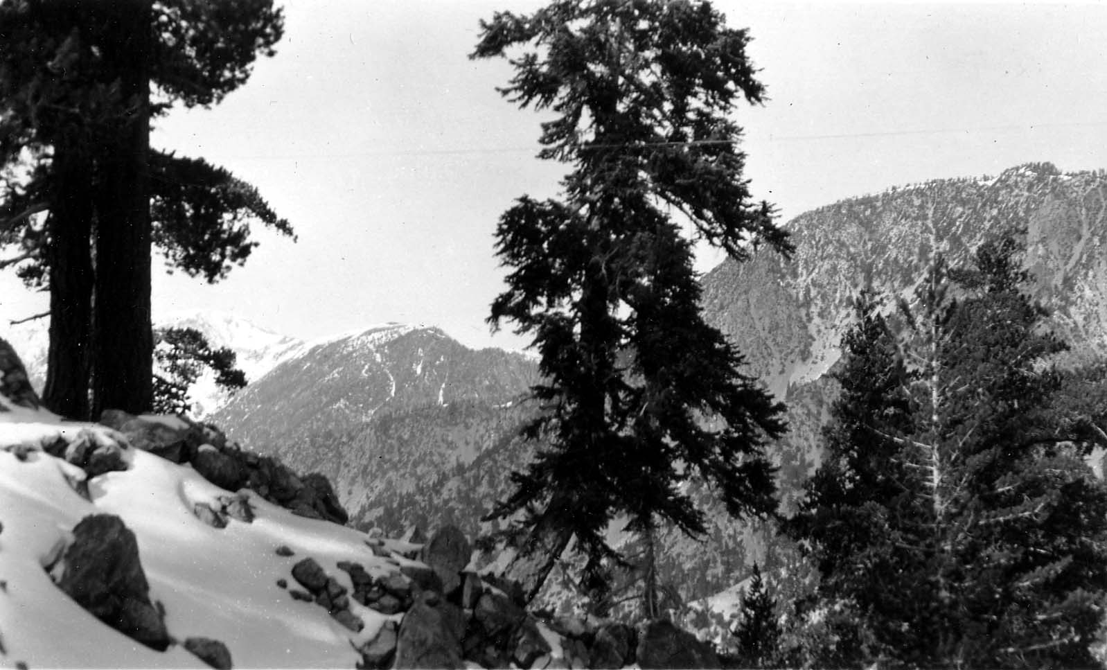 A view from a snowy mountain ridge looking down into a deep, forested valley with distant snow-capped peaks.