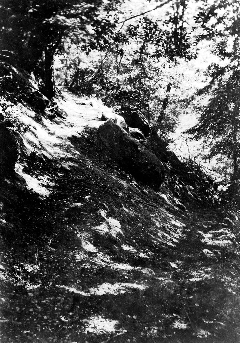 A steep, rocky incline and forest trail illuminated by patches of bright sunlight filtering through a thick tree canopy.