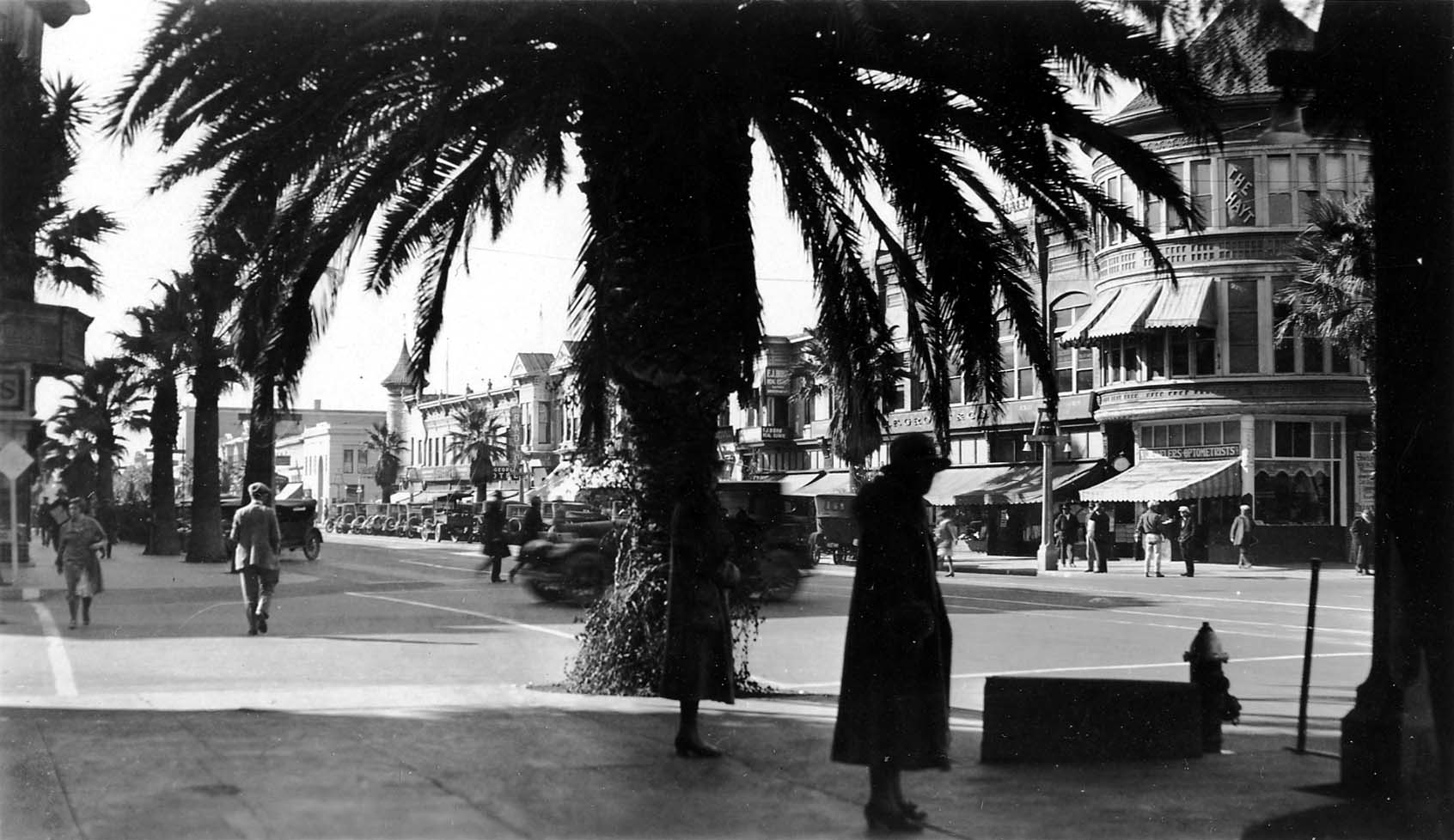 A bustling Los Angeles city street shaded by a massive palm tree in the foreground, with vintage automobiles, storefronts, and pedestrians.