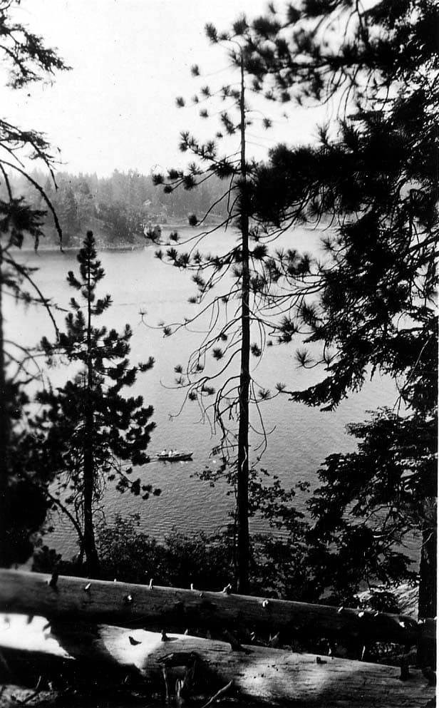 A view of a tranquil alpine lake through the silhouettes of tall pine trees, with a small rowboat gliding across the water.