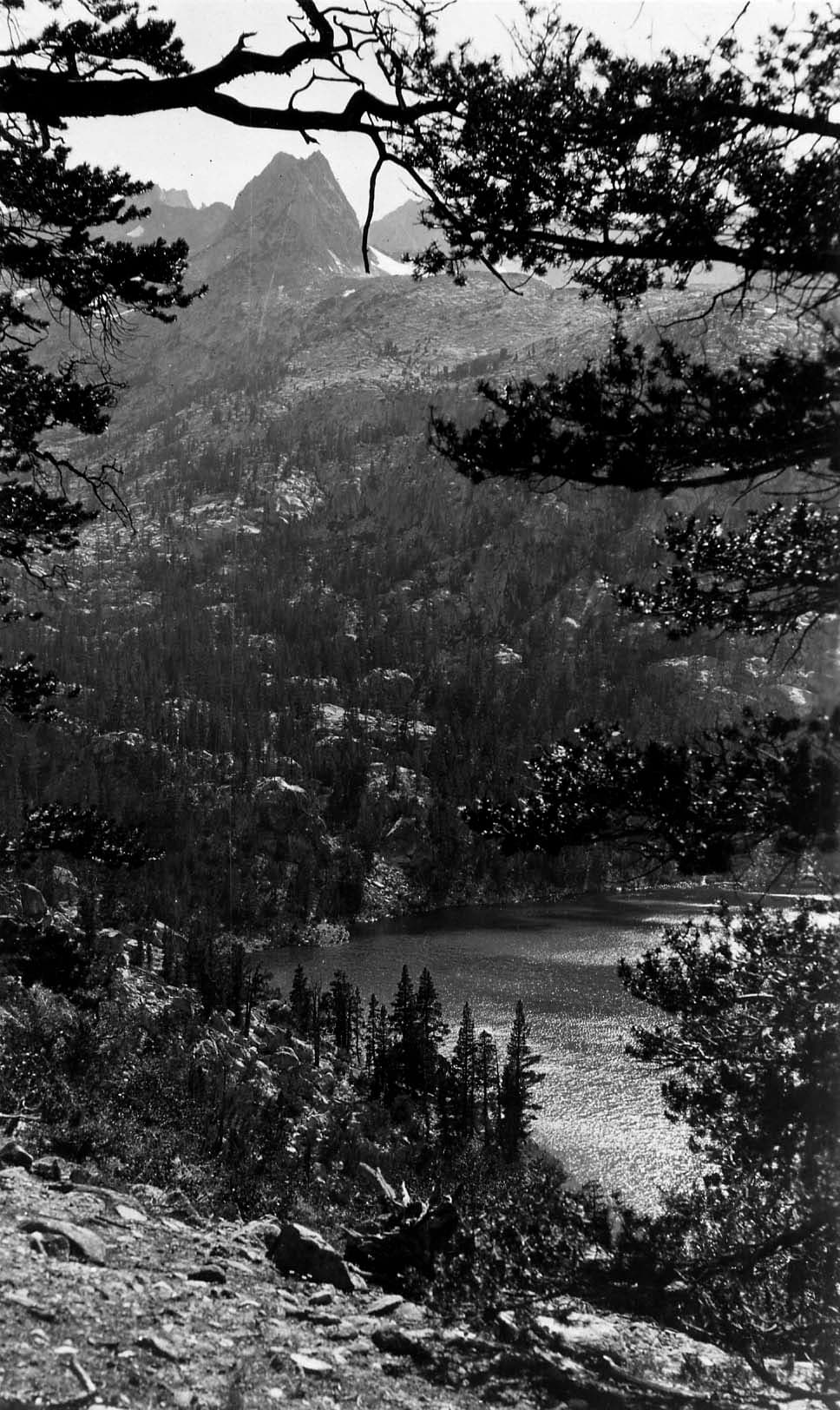 A dramatic mountain peak towering above Lake Cuyamaca, framed cleanly through the dark silhouettes of overhead pine branches.