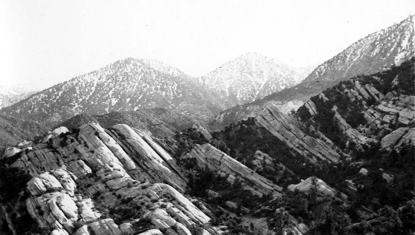 A rugged, undeveloped mountain and forest landscape under bright natural daylight, showcasing untouched Western terrain.