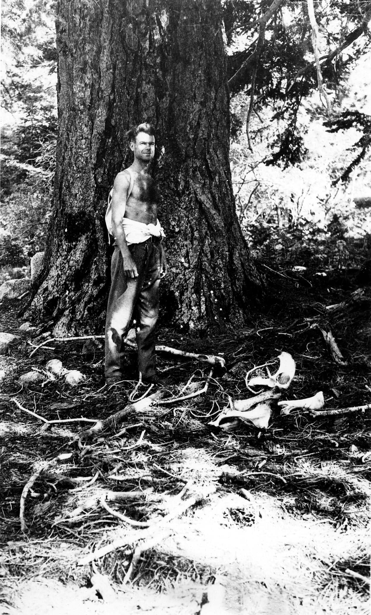 A shirtless hiker standing at the base of a massive ancient conifer trunk beside weathered animal bones and a skull on the forest floor.