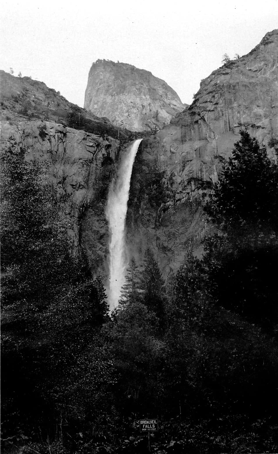 The full vertical cascade of Bridalveil Fall dropping 620 feet with an early National Park Service wooden sign in the foreground.