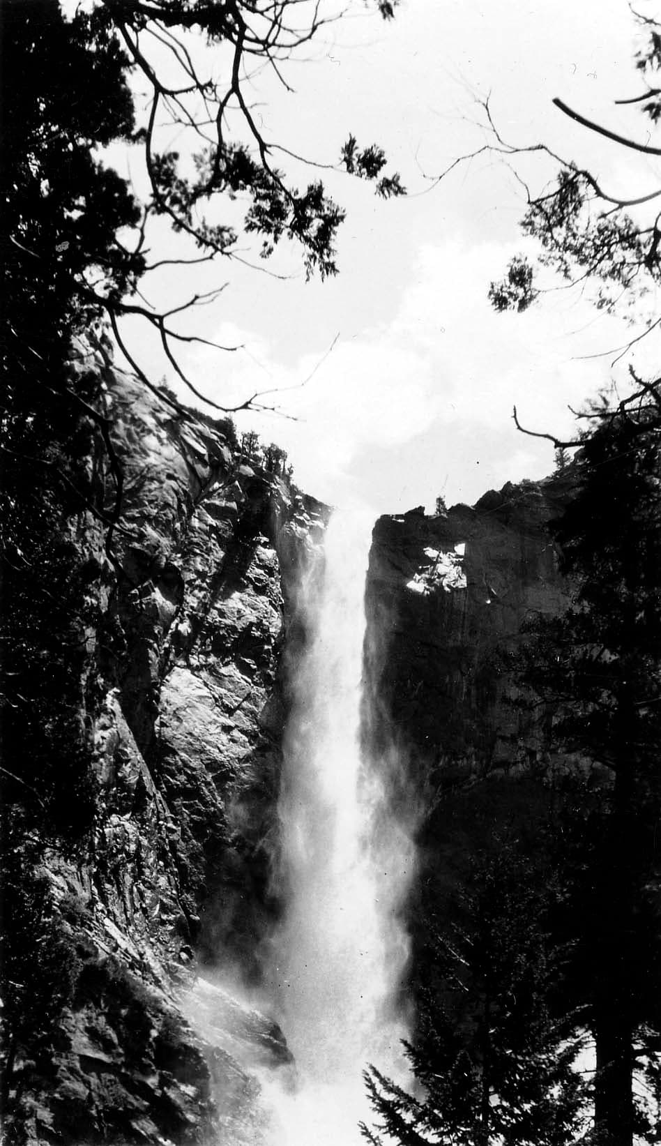A low-angle view looking upward at the narrow plume of Bridalveil Fall framed by the dark branches and crowns of tall conifers.