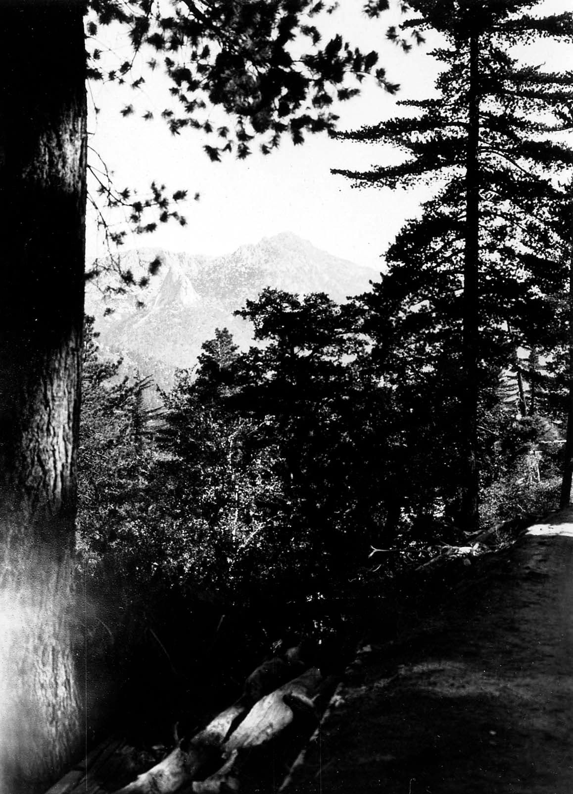 A dark forest trail along a mountain ridge overlooking layered conifers with a sunlit mountain peak visible through the trees.