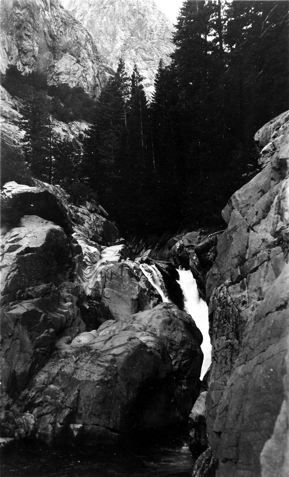 A mountain torrent plunging through polished granite boulders and narrow rock walls surrounded by dense evergreens.