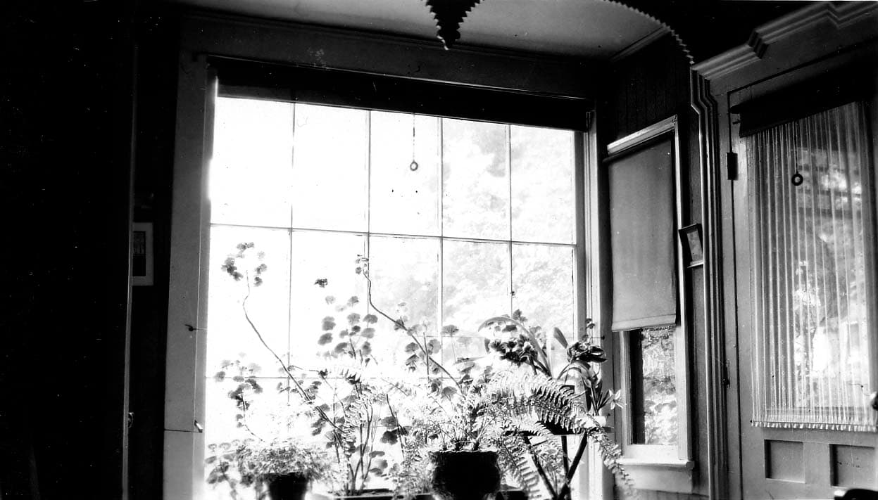 Potted geraniums, ferns, and cultivated houseplants arranged on a sunlit interior windowsill inside the Hall family residence on Xenophon Street in Point Loma.