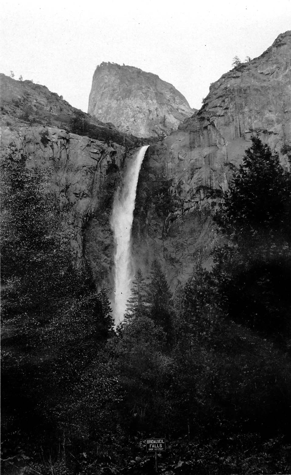 The full vertical cascade of Bridalveil Fall dropping 620 feet with an early National Park Service wooden sign in the foreground.