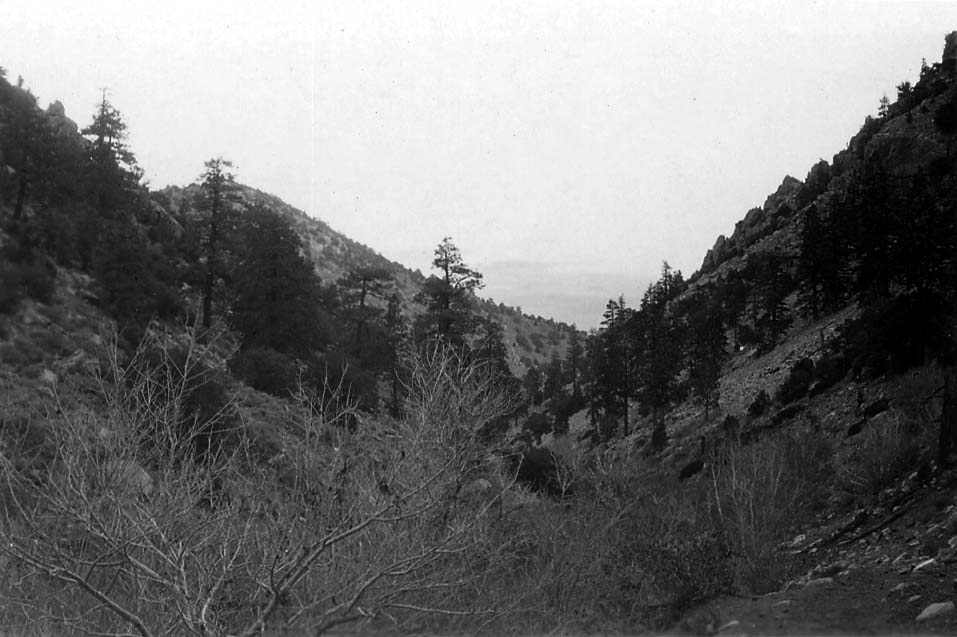 A rugged ridgeline cutting sharply against the open sky.