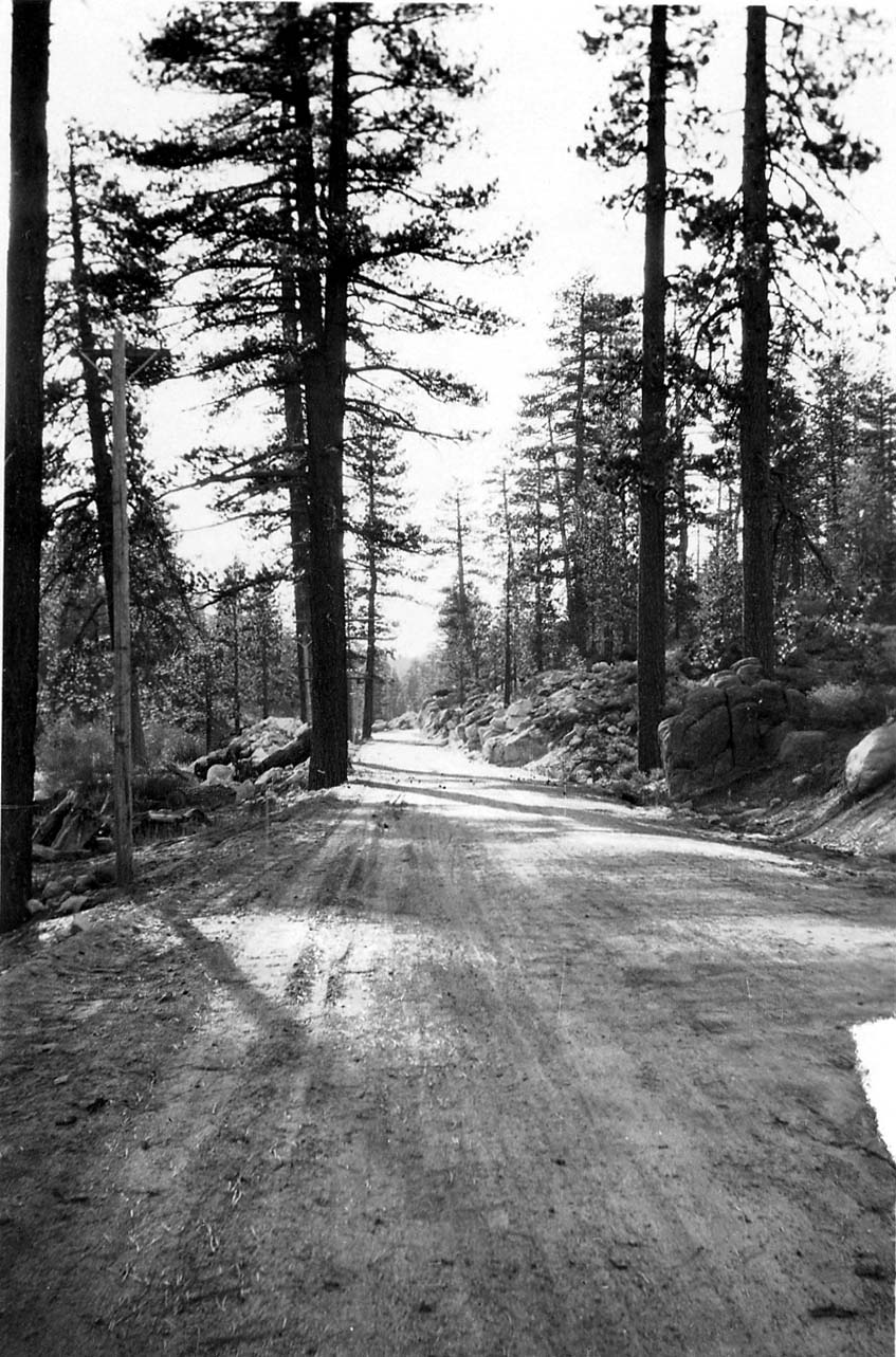A straight dirt road flanked by tall pine trees and granite boulders, creating a dramatic one-point linear perspective disappearing into the background.