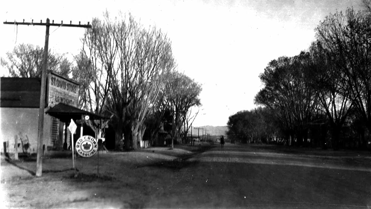 A street-level view looking down a wide dirt road lined with large, bare trees and a small general store with a vintage Red Crown Gasoline sign.