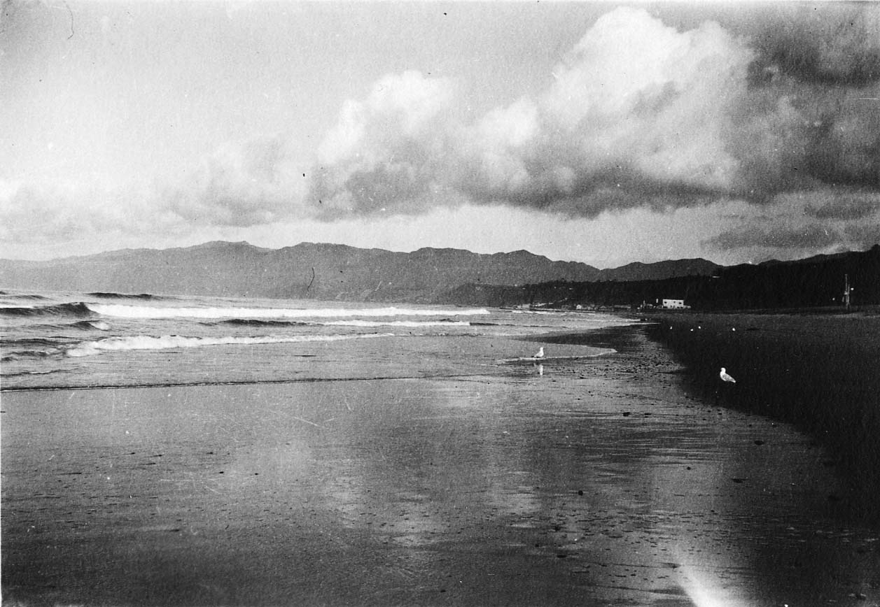 A wide sandy beach at low tide with wet sand reflections and seagulls, looking northwest across rolling surf toward the Santa Monica Mountains.