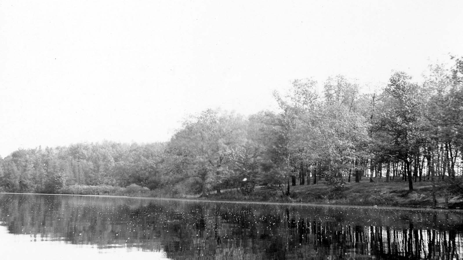 Glassy freshwater lake surface perfectly reflecting a dense, continuous wall of deciduous forest along the shoreline under an open sky.