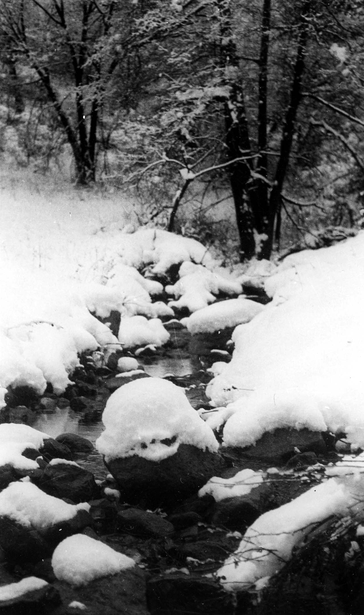 A close-up view of a freezing mountain creek flowing around large boulders heavily capped with thick, rounded snow.