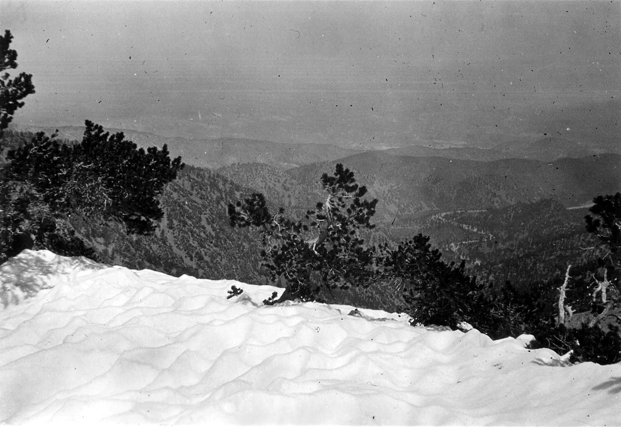 A high-altitude lookout over a vast, snow-dusted mountain valley, framed by dark pine branches in the foreground.