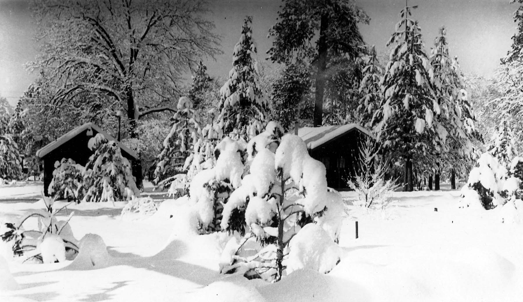 Rustic wooden cabins and pine trees heavily blanketed beneath deep winter snowdrifts in the San Bernardino Mountains.