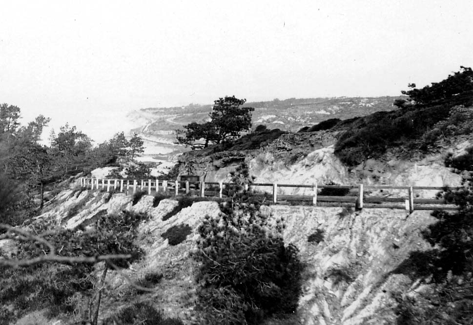 A winding dirt road lined with a white wooden guardrail carved into the steep sandstone bluffs of Torrey Pines, overlooking the coast.