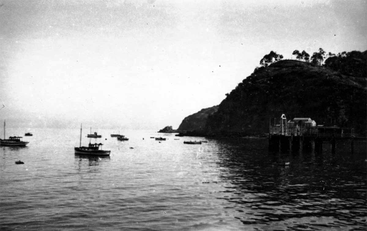 Vintage Black and White photograph of the cove at Catalina Island with various boats anchored. Photo taken by Donald Hall in 1927